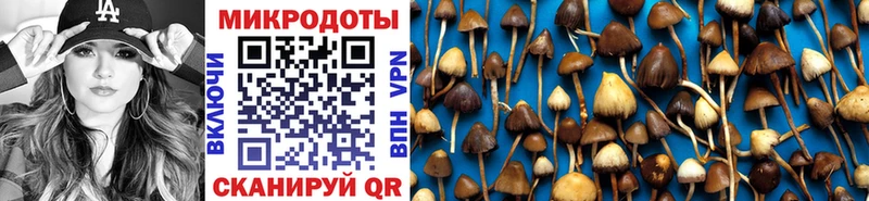 купить   Абаза  Псилоцибиновые грибы Psilocybe 